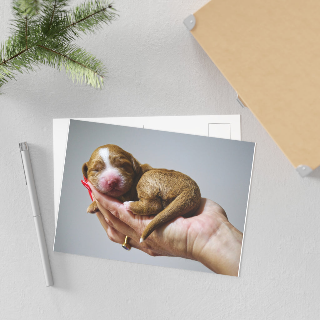 Fine Art Postcard — Newborn Puppy Photo Greeting Card (Set)