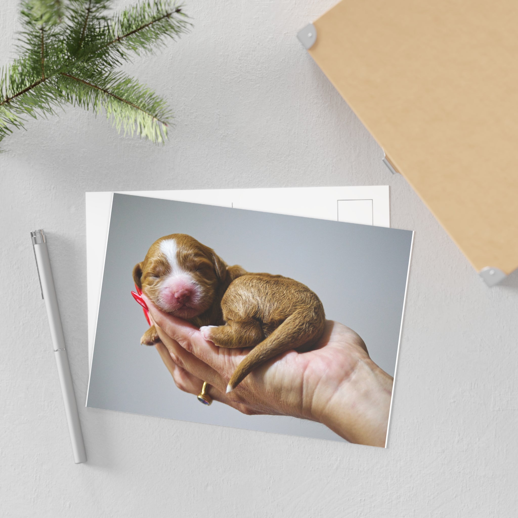 Fine Art Postcard — Newborn Puppy Photo Greeting Card (Set)