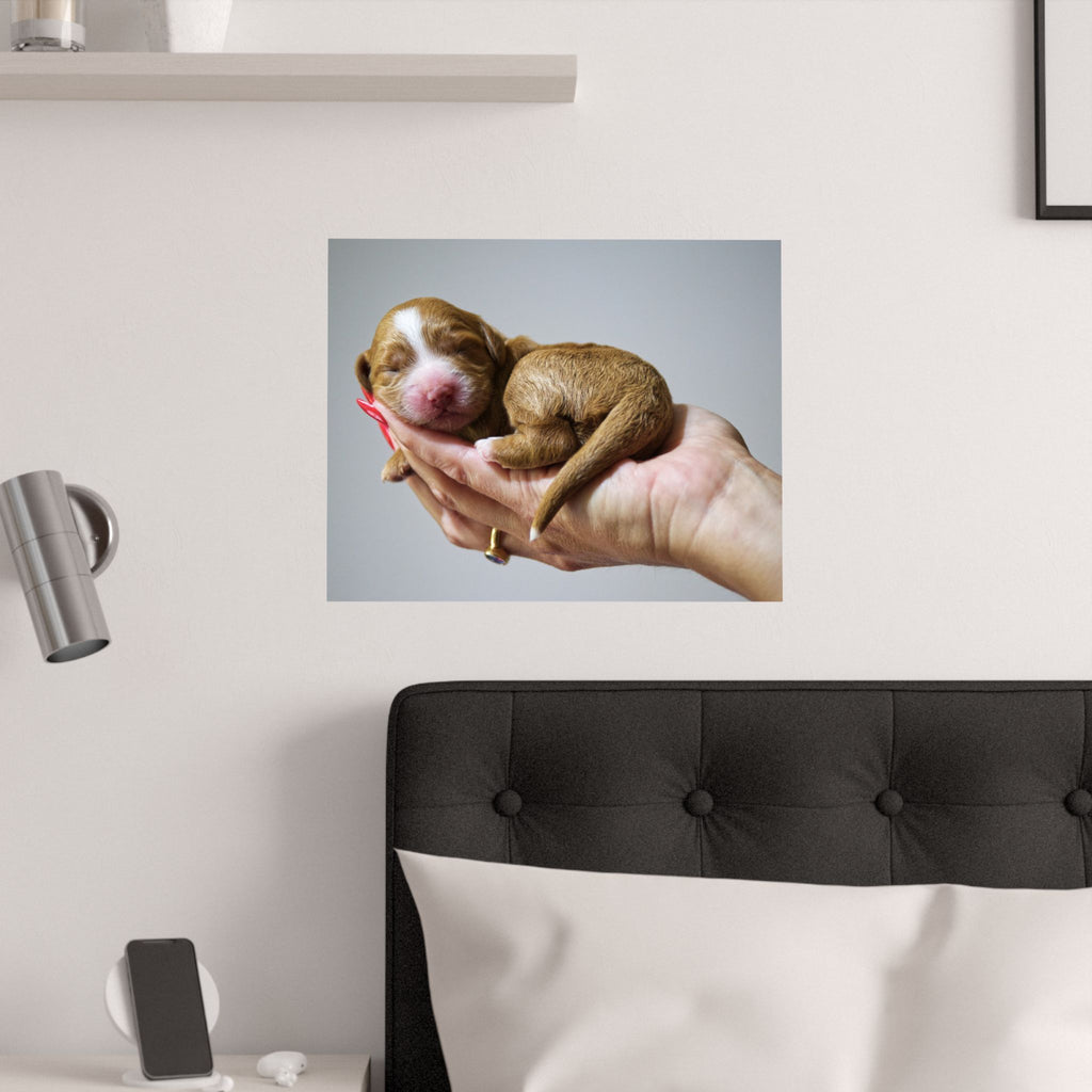Newborn Puppy Photo Poster - Cute Sleeping Puppy Satin Print